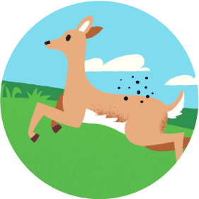 deer icon description