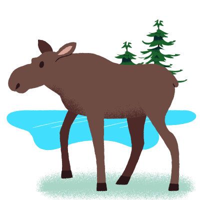 Illustration of a bull moose set against a backdrop of evergreen trees and a pond.