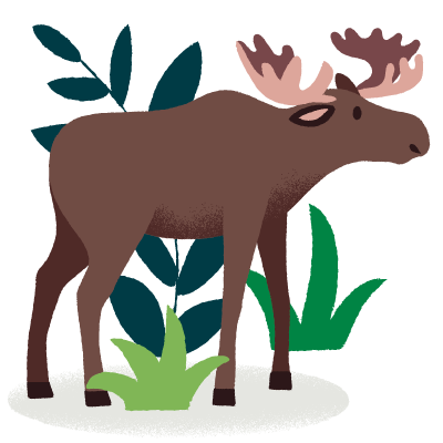 Illustration of a bull moose set against a background of green plants.